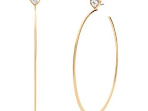 Michael Kors Fashion Gold-Tone Stainless Steel Hoop Earring (Model: MKJ7900710)