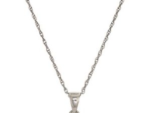 Amazon Collection Sterling Silver Swarovski Crystal Halo Pendant Necklace