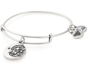 Alex and Ani Path of Symbols Expandable Bangle for Women