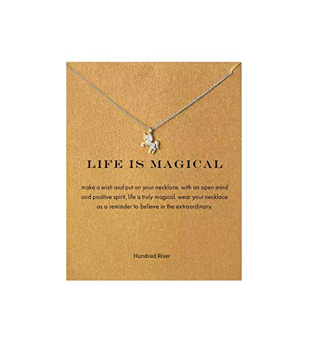 Baydurcan Friendship Anchor Compass Necklace Good Luck Elephant Pendant Chain Necklace with Message Card Gift Card Baydurcan Friendship Anchor Compass Necklace Good Luck Elephant Pendant Chain Necklace with Message Card Gift Card
